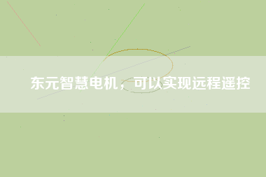 東元智慧電機(jī)，可以實現(xiàn)遠(yuǎn)程遙控