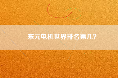 東元電機(jī)世界排名第幾？