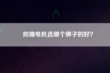 防爆電機(jī)選哪個(gè)牌子的好？