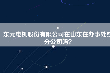東元電機(jī)股份有限公司在山東在辦事處或分公司嗎？