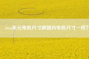 teco東元電機尺寸跟國內電機尺寸一樣？