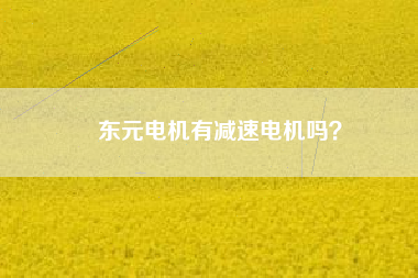 東元電機有減速電機嗎？