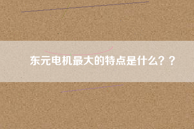 東元電機(jī)最大的特點是什么？？